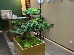 -通透堂中医·精准推拿(旗舰店)