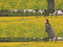 -长白岛森林公园