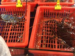 -79号渔船海鲜饭店(华强北店)