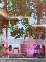 -Yestar 嘉兴艺星医疗美容医院