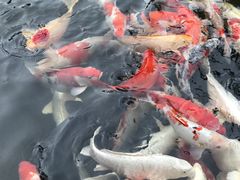 -聚福宝合苑食府(南头镇店)