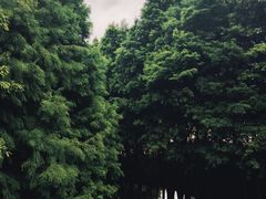 -厦门园林博览苑