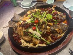 -老板恋上鱼(恒隆广场店)