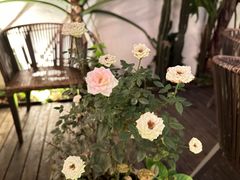 -云里小坐·小院里·团建·宴请·下午茶(三圣乡店)