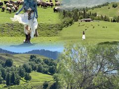 -新疆那拉提国家旅游度假区