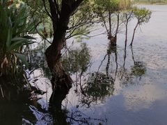 -贡湖湾湿地公园