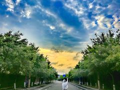 -眉山湿地公园(东坡区)