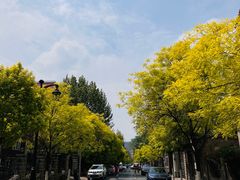 -天津五大道文化旅游区