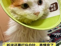 -康成宠物医院24H·CT·核磁共振
