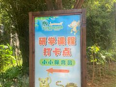 -太湖龙之梦