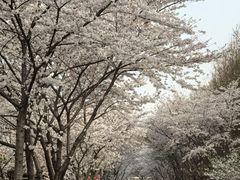 -南京明基医院
