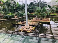 -龙寺生态园