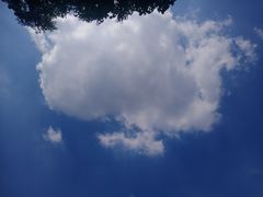 -上海虹桥迎宾馆
