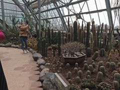 -南山植物园