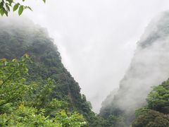 -龙窝子