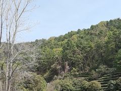 -九龙潭景区