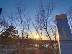 -大兴滨河森林公园