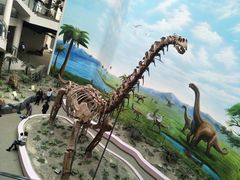 -辽宁古生物博物馆