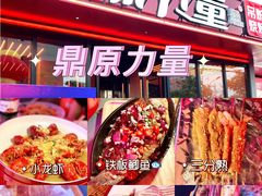 -鼎原力量东北吊炉烧烤(幸福街店)