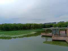 -大兴滨河森林公园