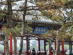 -迎泽公园