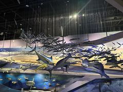 -长江文明馆