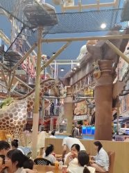 -卡通尼·Safari非洲探索乐园·生日会(金桥国际商业广场店)