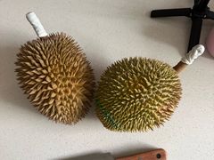 -汉堡王(徐汇绿地缤纷店)