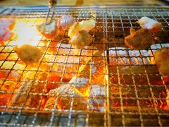 -柿子树炭烤羊腿(金台路店)