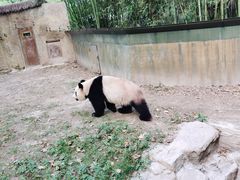 -上海野生动物园