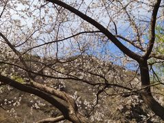 -京西十八潭风景区