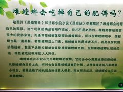 -上海昆虫博物馆