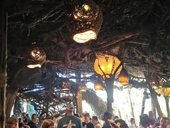 -奥兰多迪士尼动物王国乐园