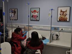 -纳吉亚猫专科动物诊疗中心(蒋宅口分院)