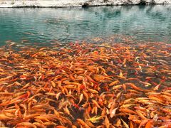 -楠溪江风景名胜区