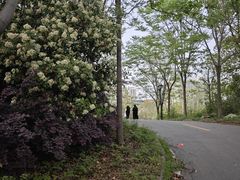 -咸宁温泉谷大酒店