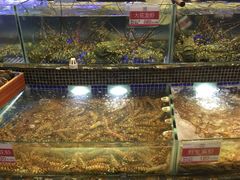 -欢乐海岸美食联盟