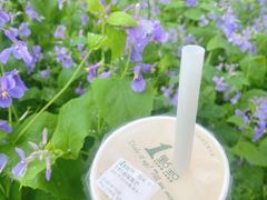 -1点点(中山门大街店)