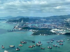 -天龙轩(香港丽思卡尔顿酒店)