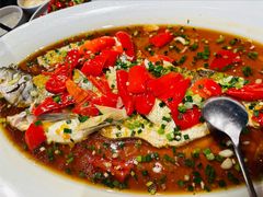 翘嘴鲌鱼-丹江渔村(望京店)