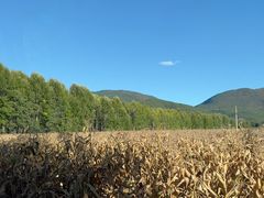 -泸沽湖国家级风景名胜区走婚桥