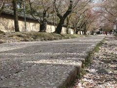 -醍醐寺
