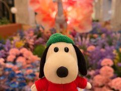 -Ginza Onodera铁板烧(外滩十八号店)