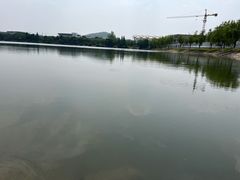 -羊山湖公园