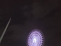 -台场海滨公园船码头
