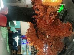 -雲蜀龙阁·金牌水煮鱼(方庄店)