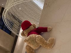 -郑州美盛喜来登大酒店