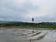 -光明小镇欢乐田园