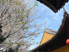 -龙华素斋(龙华路店)