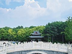 -晋祠公园